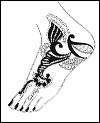 Henna Leg Design